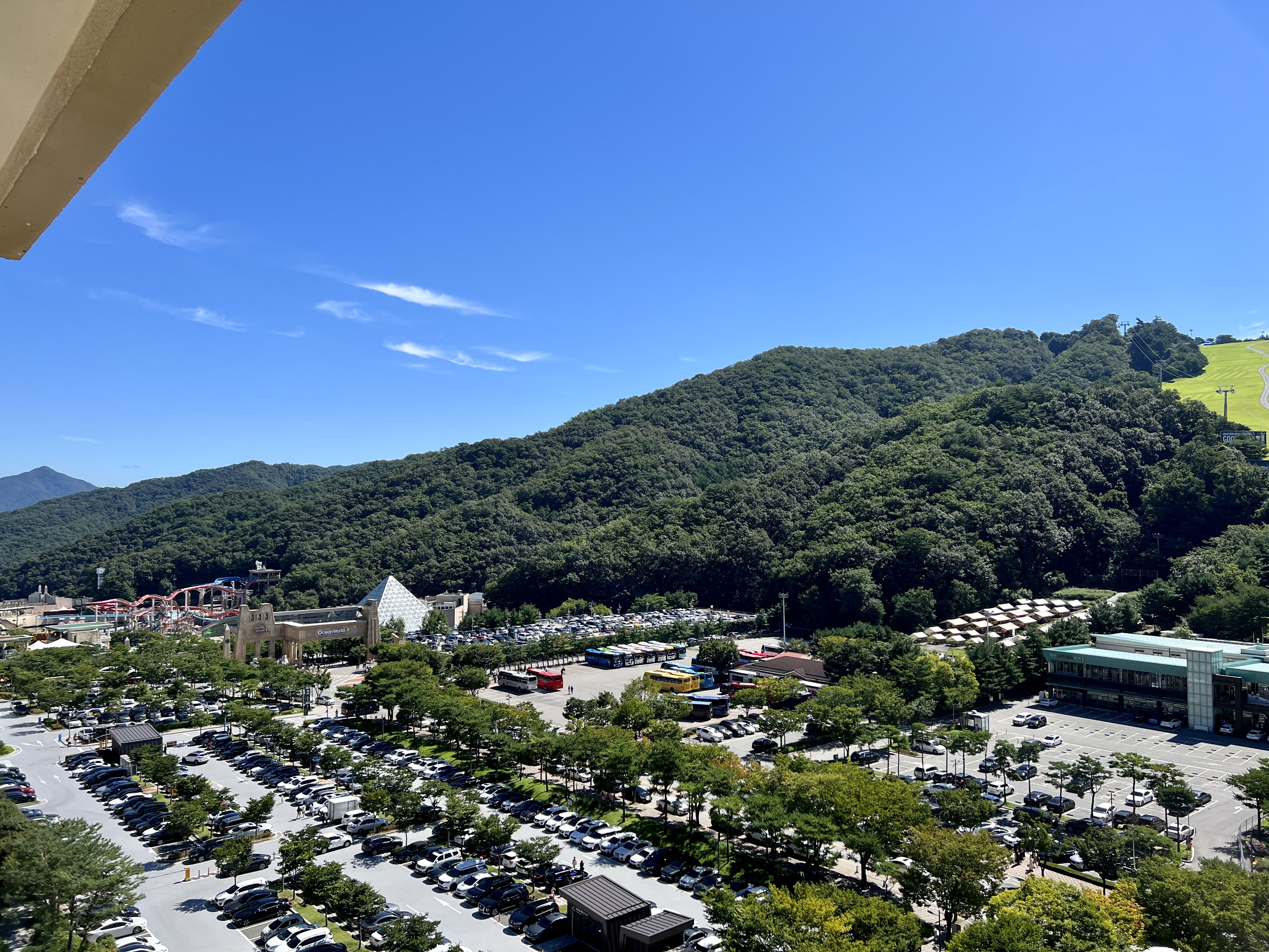 오션월드 오전 주차장 모습