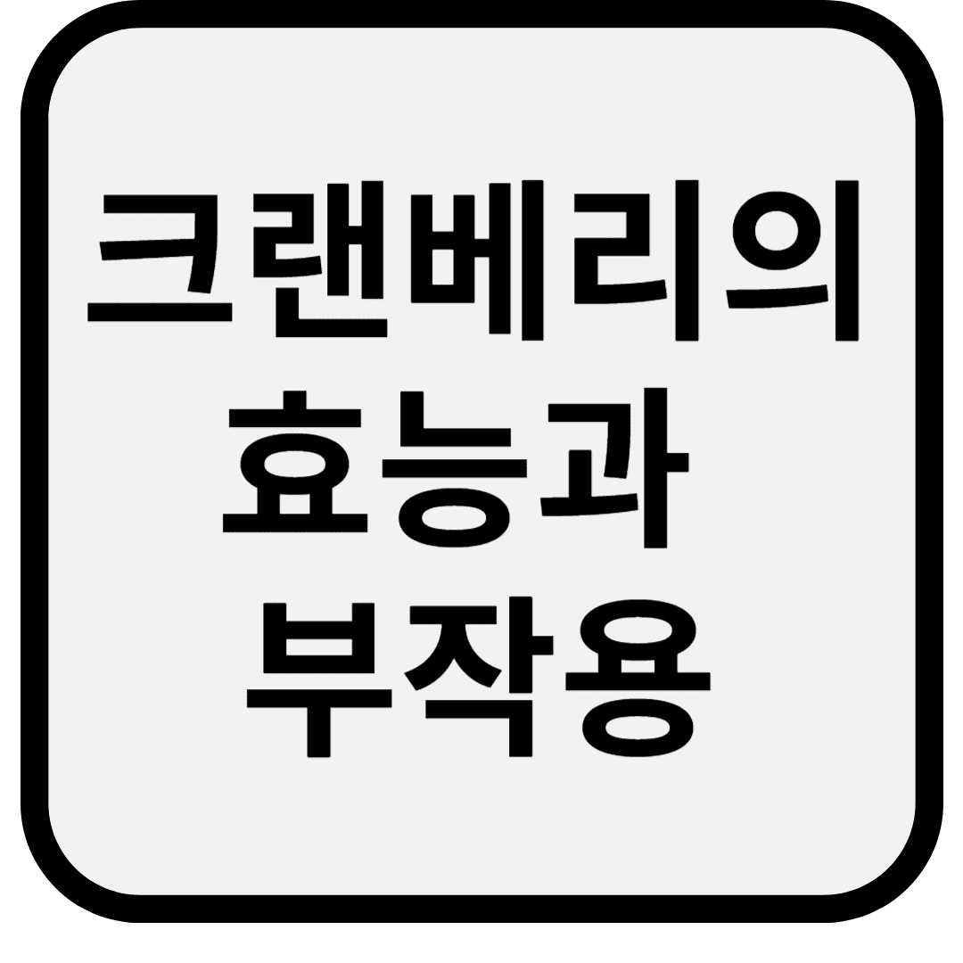 크랜베리 효능과 부작용 총정리