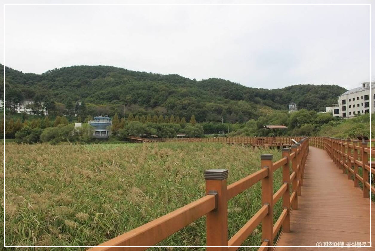 합천 가볼만한곳 베스트10 합천 정양늪 생태공원