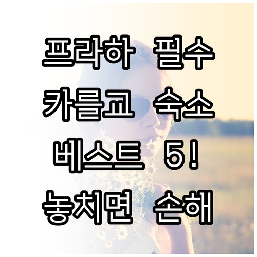 프라하 카를교 근처 인기 숙소 5곳 ..