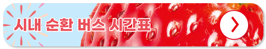 논산딸기축제