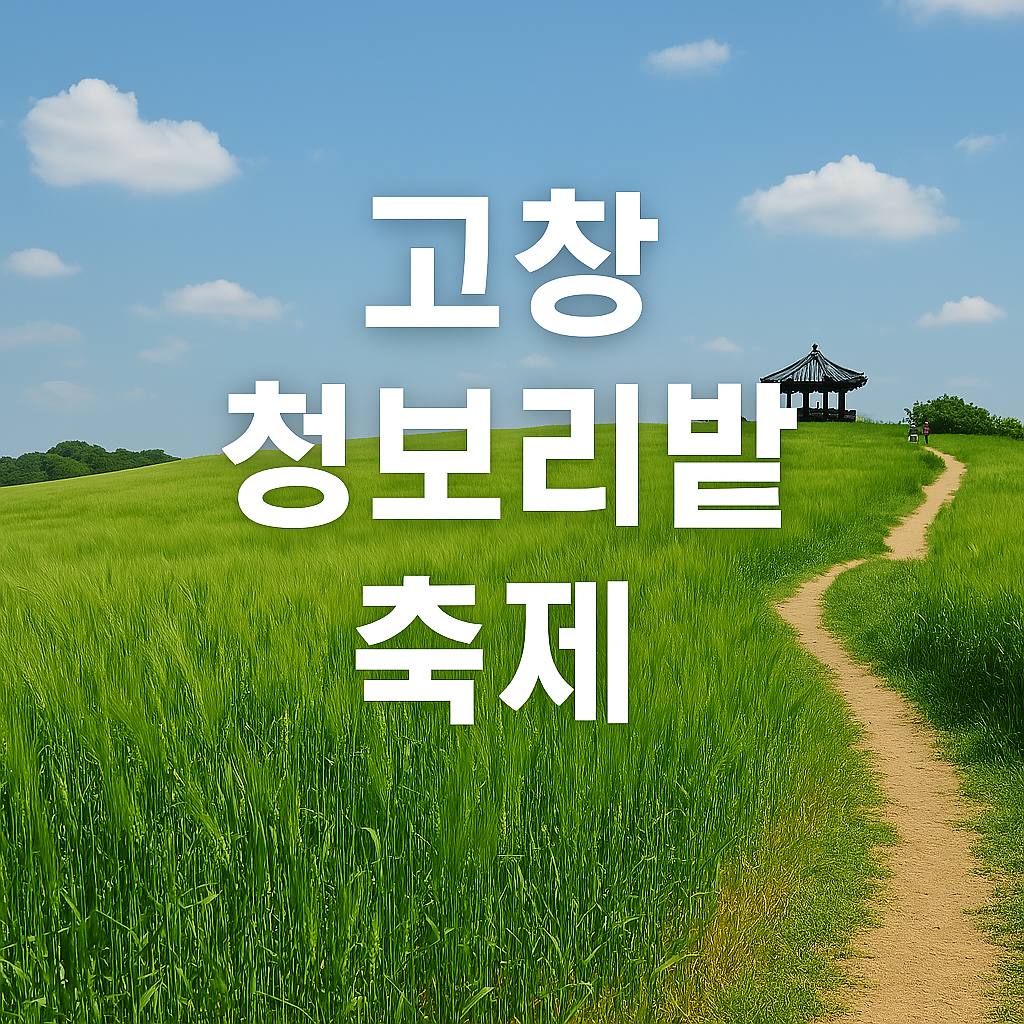 고창 청보리밭 축제를 소개합니다.