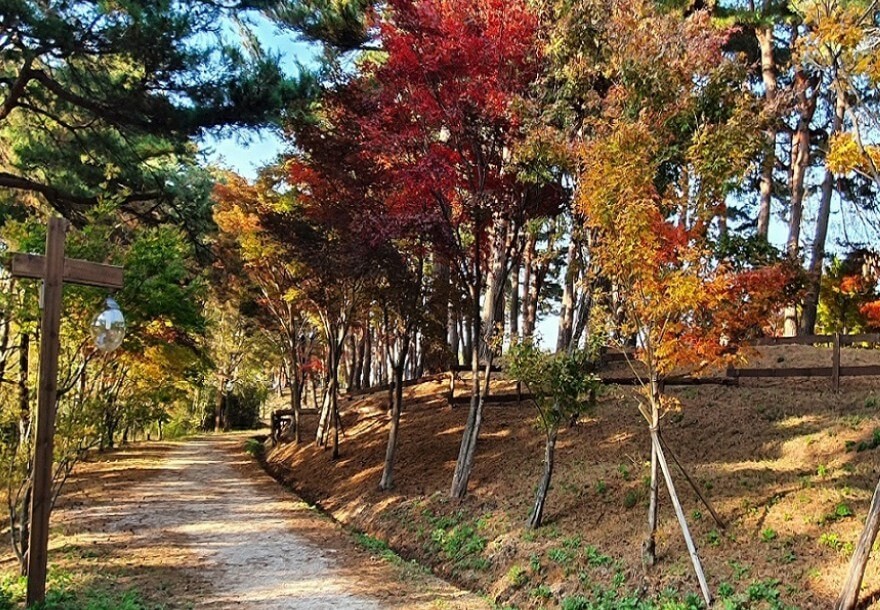 척산온천-산책로