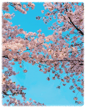 불당천
