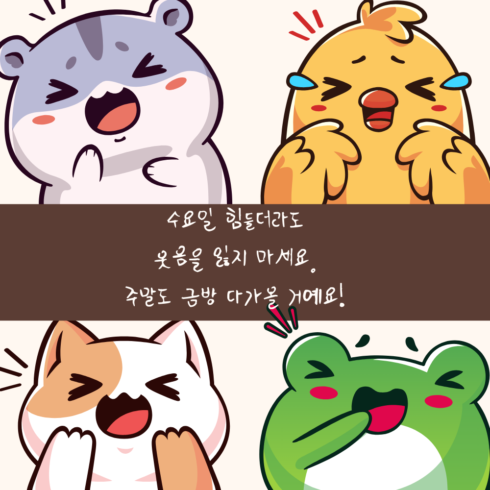 수요일 아침 인사말 문구 이미지 모음