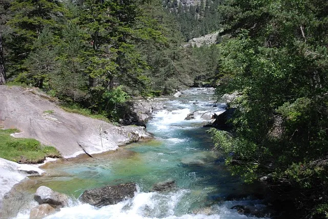 생수 유통기한 지난 제품 마셔도 되는지 건강 정보_3