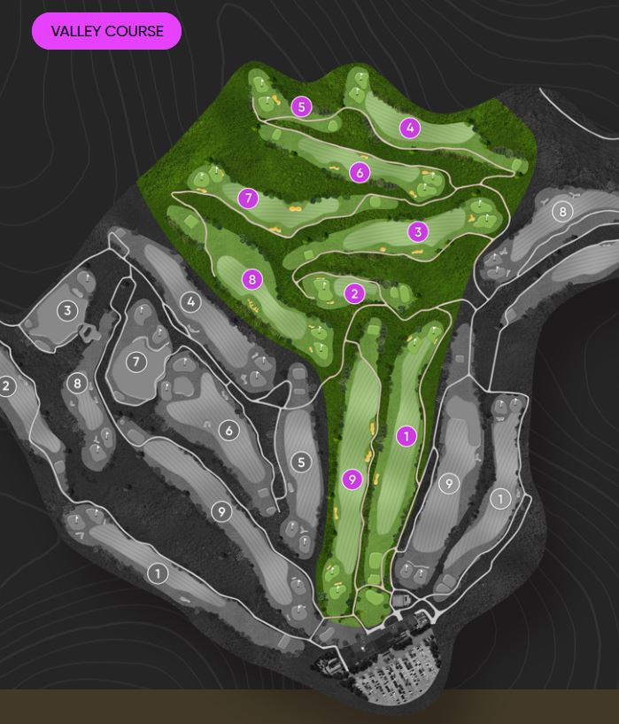 세종에머슨cc 밸리코스