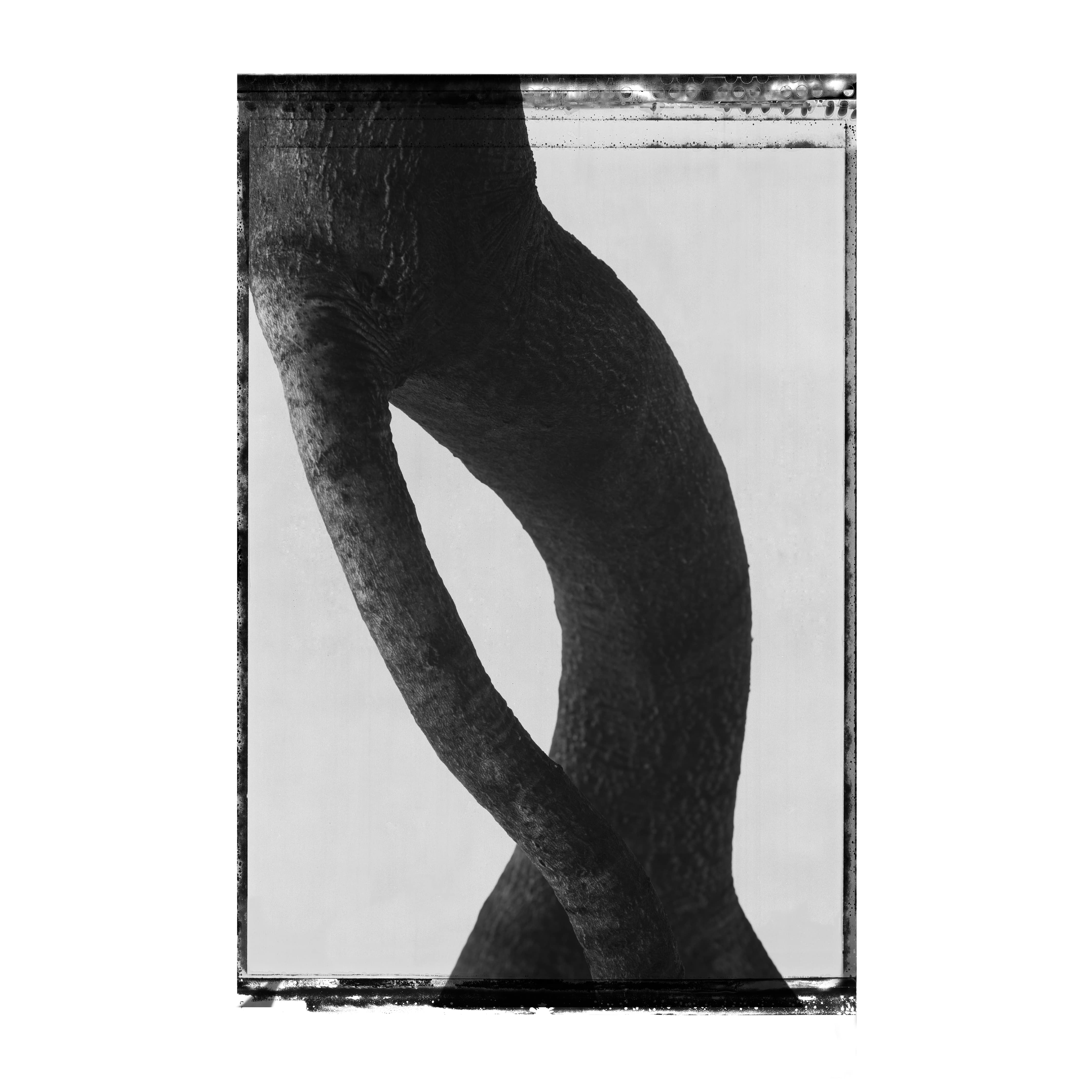 김중만 작가&#44; 상처난 거리