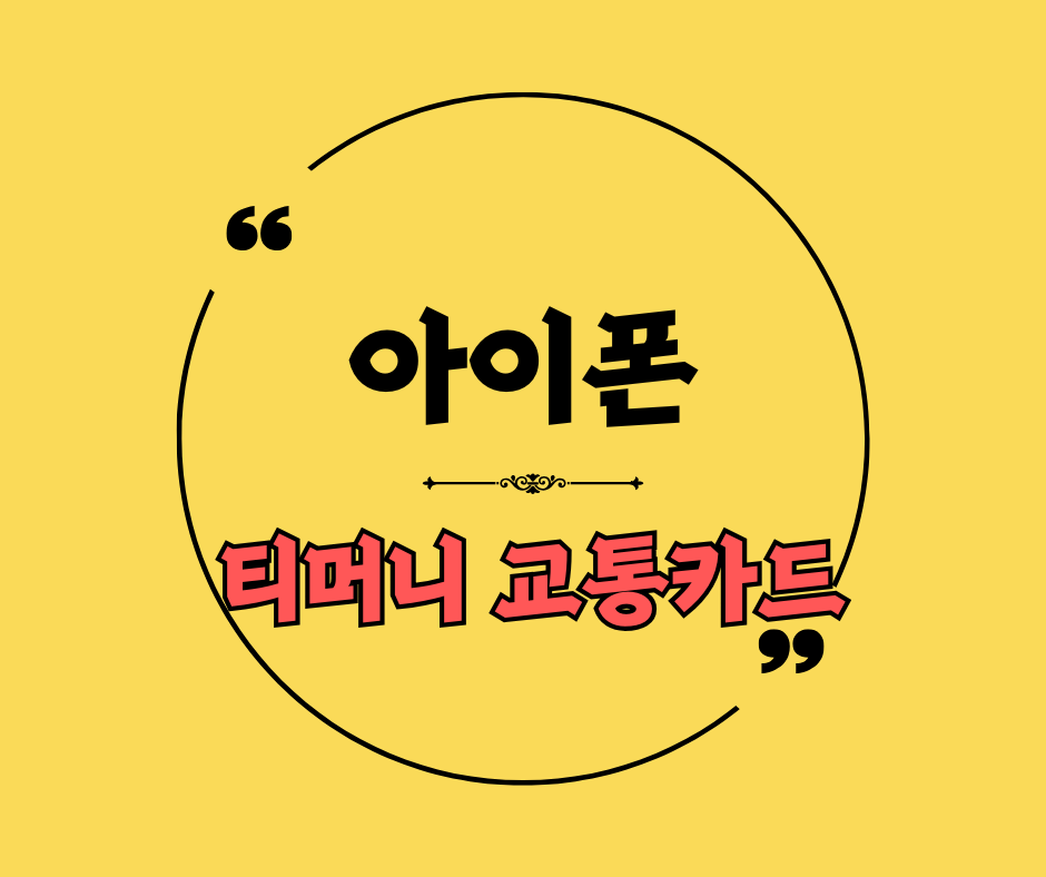 아이폰 티머니 교통카드