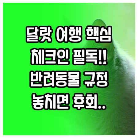 달랏 여행 숙소 예약 전 필수 체크인..