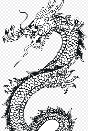 용띠 2025년 운세