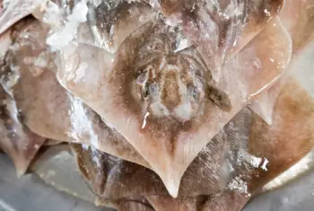 홍어 가격 및 효능, 영양성분 주의점