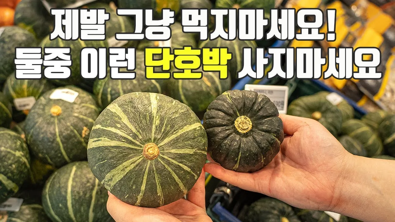 단호박 수확시기와 따는 방법 지역별로 쉽게 알아보는 정보_4