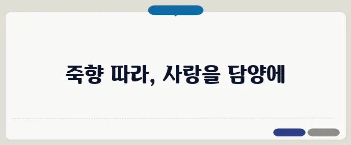 전남 담양 낭만 여행 코스 제안