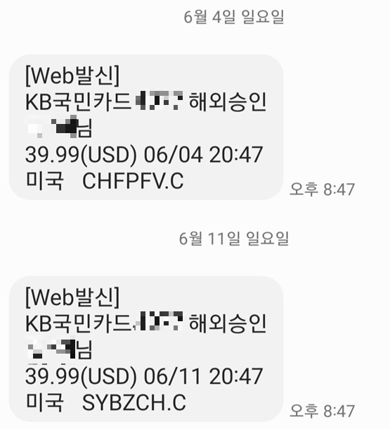 카드사에서 보낸 해외승인 문자