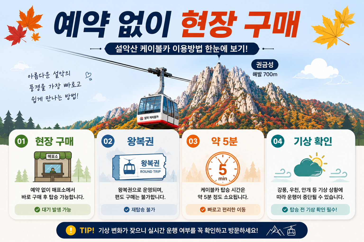 설악산 케이블카 예약 현장구매 왕복 이용방법