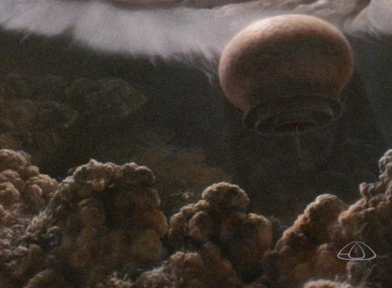 칼 세이건의 '코스모스' 2장 '우주 생명의 푸가'에서