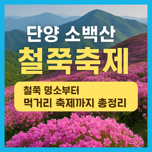 단양 소백산 철쭉축제 완벽 가이드