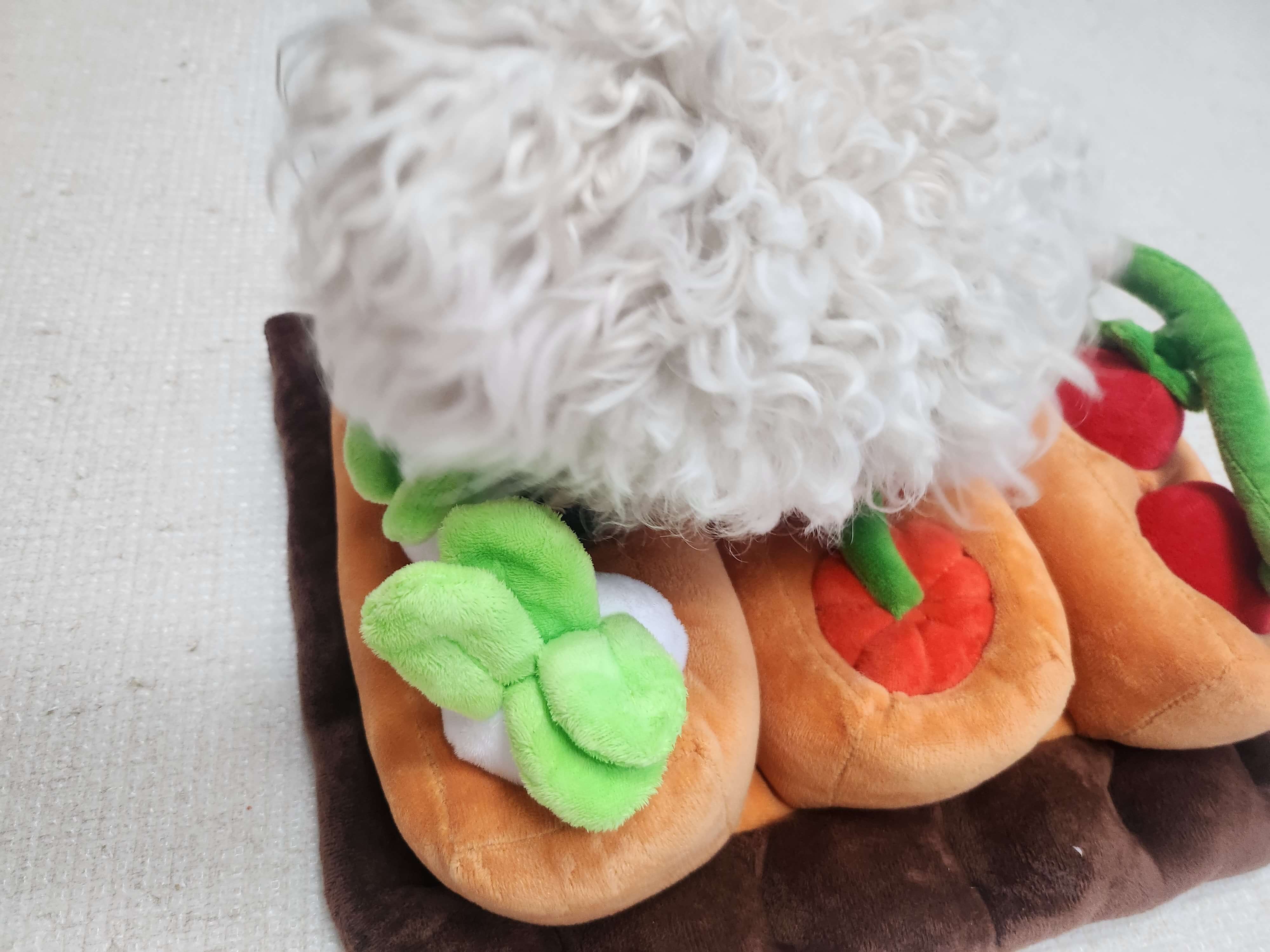 강아지 장난감 추천