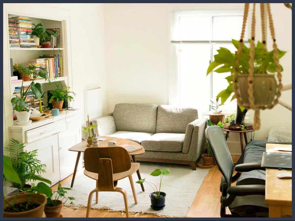 식물과 햇살이 비추는 거실