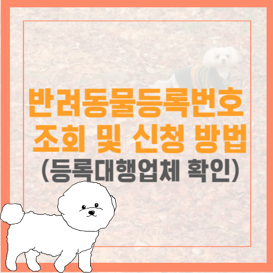 반려동물등록번호 조회