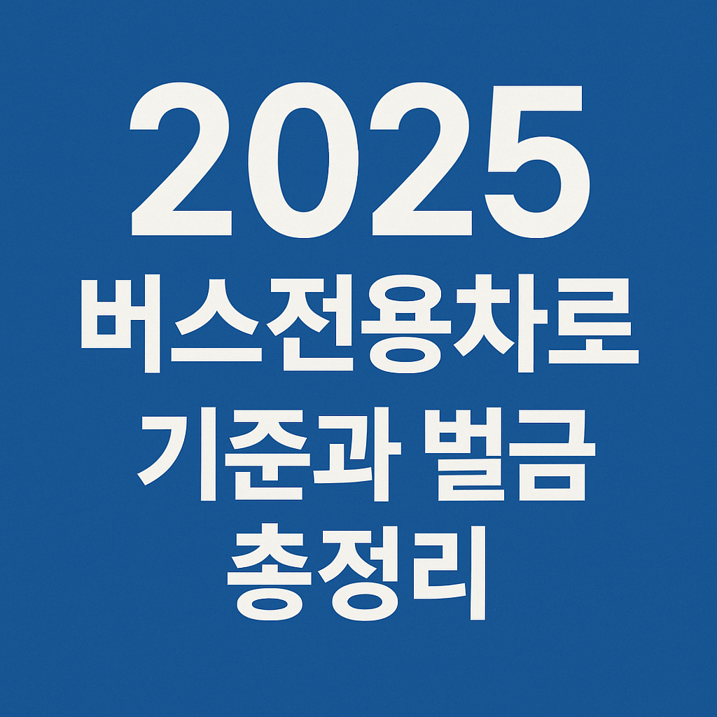 2025 버스전용차로 기준과 벌금 총정리