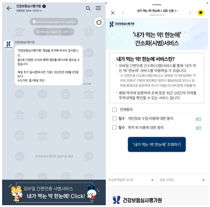 내가 먹는 약 한눈에 카카오톡으로 확인하세요 (출처 : 건강보험심사평가원)