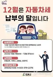 2025년 자동차세