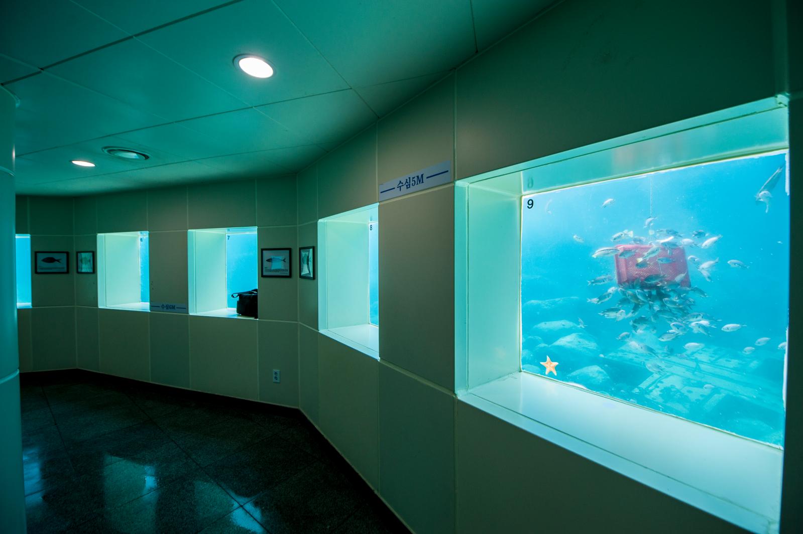 천부해중전망대 바닷속 신비로운 세상으로의 초대