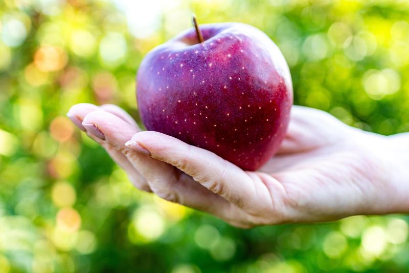 기버 정신 사진