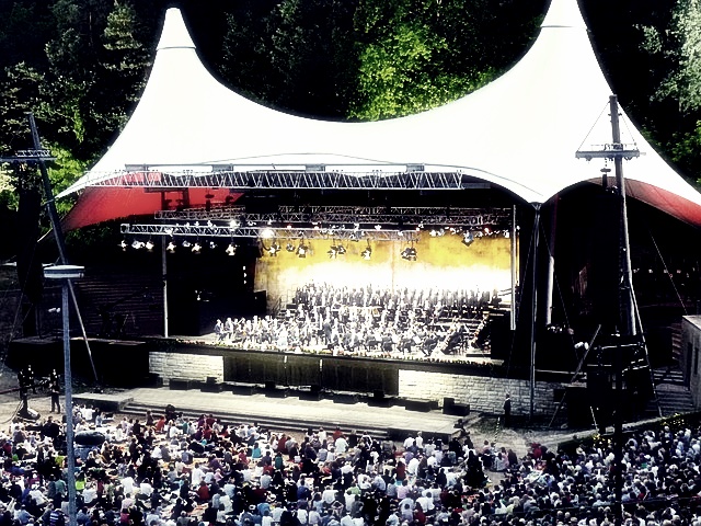 그랜드 민트 페스티벌 2024