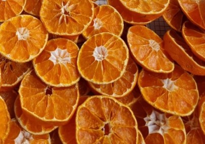 제주도의 독특한 체험 활동 탐험과 감동의 순간