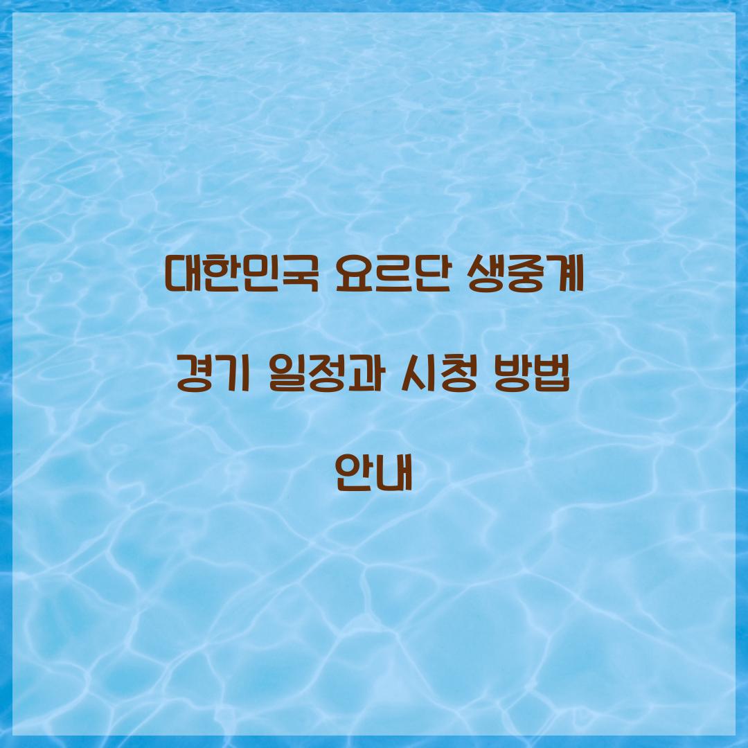 대한민국 요르단 생중계