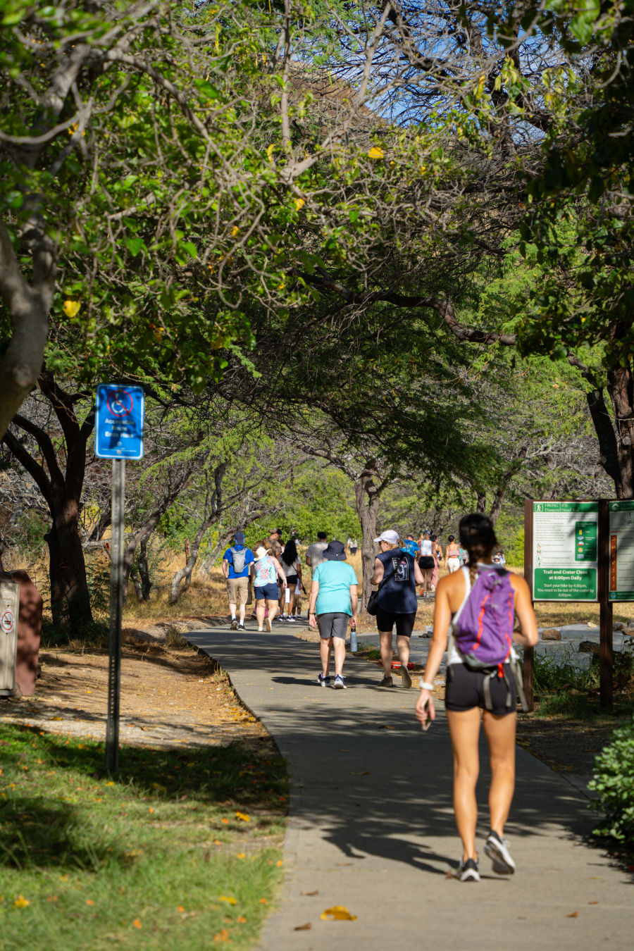 하와이 다이아몬드 헤드 출발