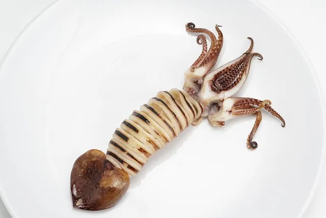 한치 오징어 차이 비교 생김새 맛 식감 완벽 분석_5