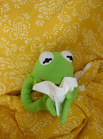 추울수록 감기에 더 잘 걸린다?