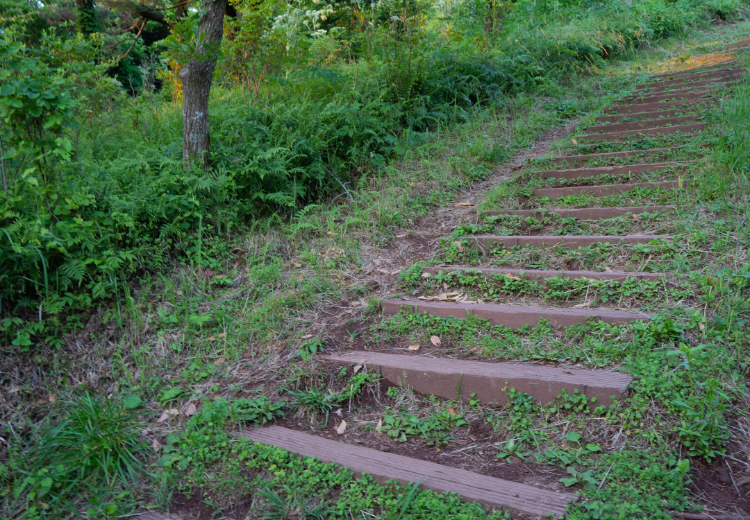 군산 오름 올라가는길