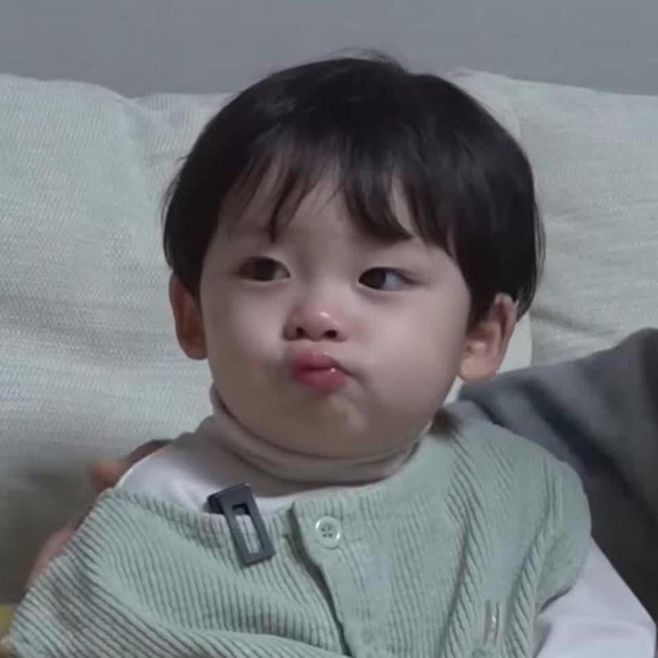 이진이 나이 부모님 엄마 아빠 아기 딸 수익 출생지 국적 프로필