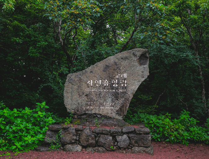 제주 교래자연휴양림