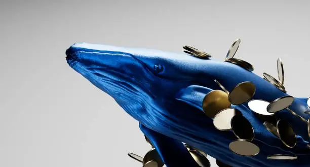 대왕고래 투자자의 이미지