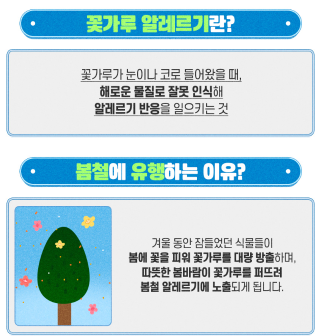 알레르기 증상 및 치료법 ❘ 꽃가루 알레르기 원인, 검사, 병원 찾기 가이드