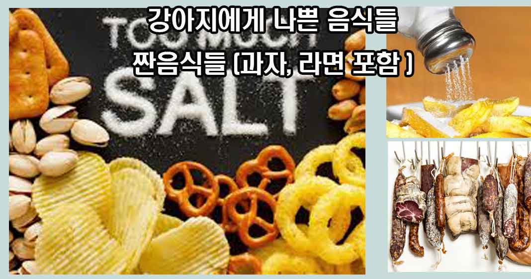 강아지에게 나쁜 음식들, 강아지에게 해로운 음식들