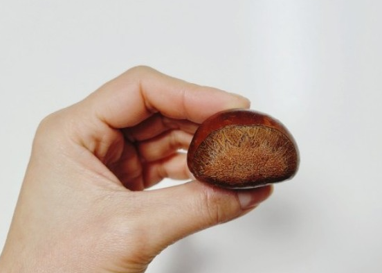 에어프라이어-밤굽기