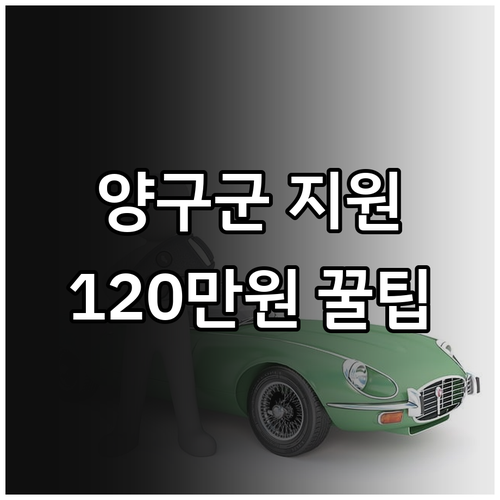 2025 양구군 청년 구직 지원, 최..