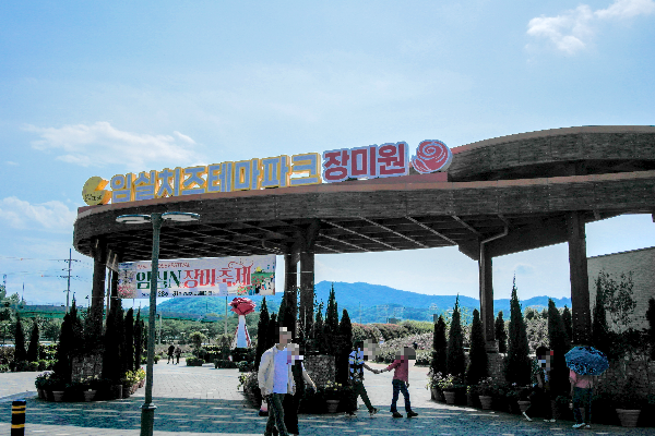 임실치즈테마파크 장미원 입구. 사람들이 걷는 모습