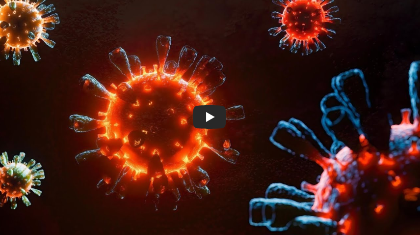 SC27 항체, 코로나