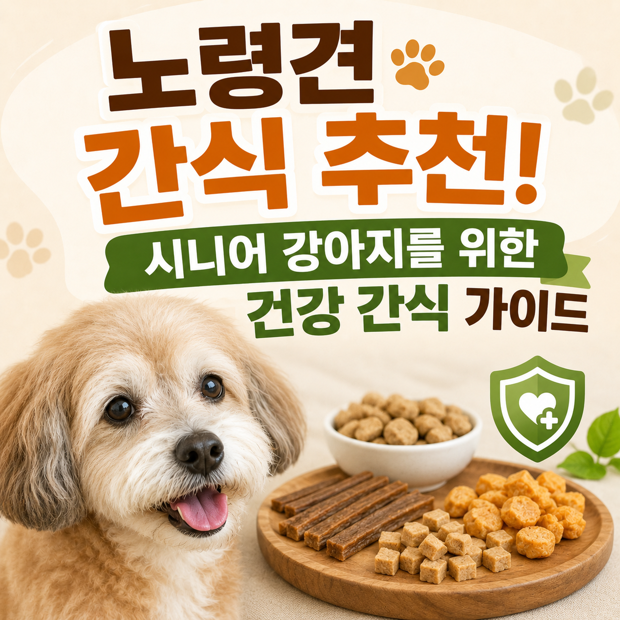 노령견 간식 추천