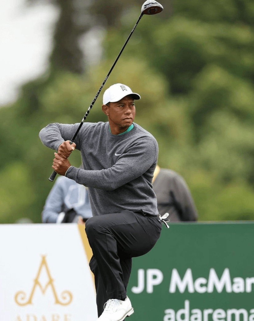 타이거우즈-비거리