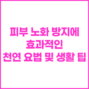 피부 노화 방지에 효과적인 천연 요법 및 생활 팁