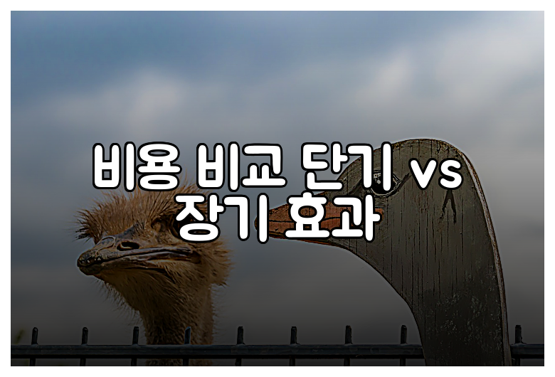 비용 비교 단기 vs 장기 효과